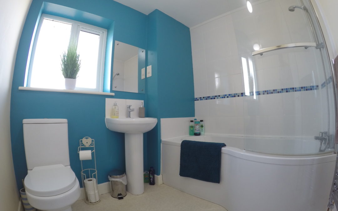 New House for Business or Pleasure