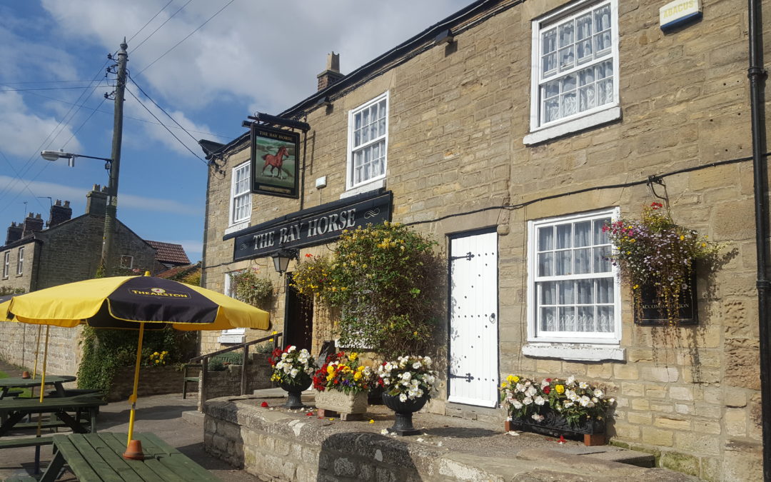 The Bay Horse